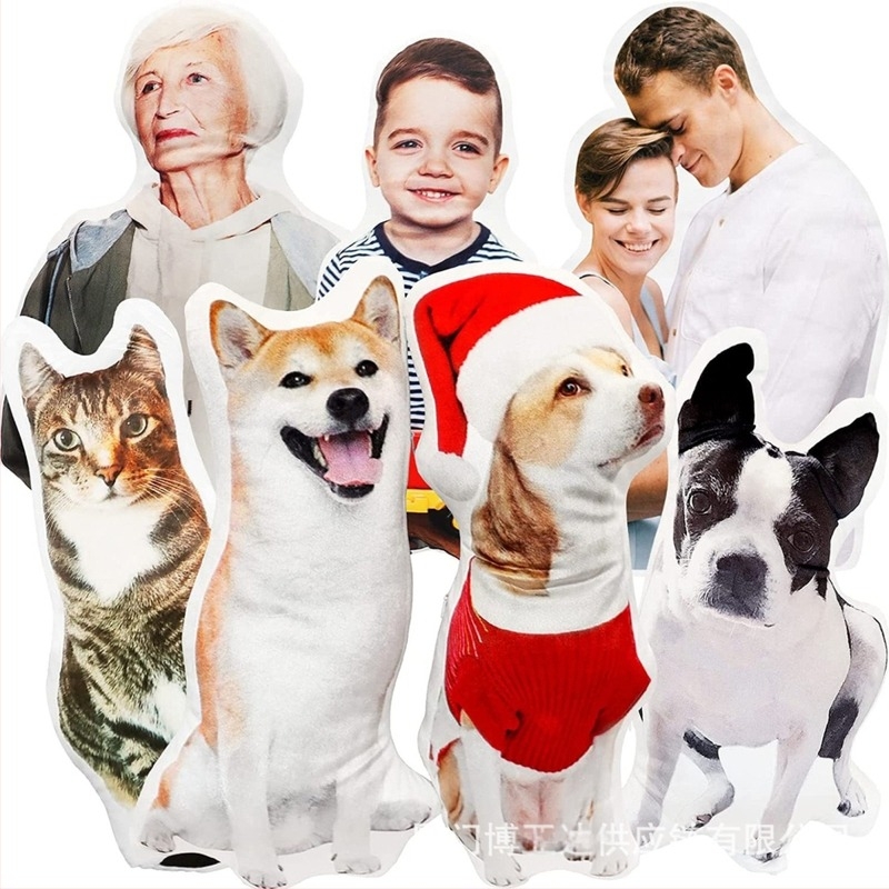 Το πιο δημοφιλές μαξιλάρι ακανόνιστου σχήματος Custom Pod του Etsy, το πιο δημοφιλές ρεαλιστικό μαξιλάρι καναπέ με χαρακτήρα κατοικίδιου στο Amazon