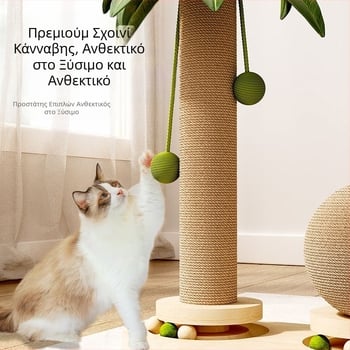 Πικάπ από μασίφ ξύλο καρύδας για γάτες Στήλη ξυσίματος γάτας Διασκεδαστικό ραβδί γάτας Ξυσίματος γάτας Ανθεκτικό παιχνίδι γάτας Σιζάλ Ράφι αναρρίχησης για γάτες Διαγώνιο περίγραμμα