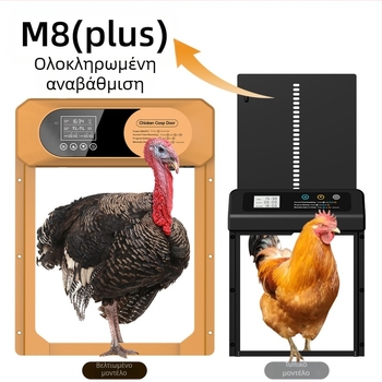 Μεγάλη διασυνοριακή πόρτα κοτέτσιου, πλήρως αυτόματη ηλιακή πόρτα κοτέτσιου, έξυπνη πόρτα κατοικίδιων που δεν τσιμπάει, χρονισμός ευαισθησίας φωτός