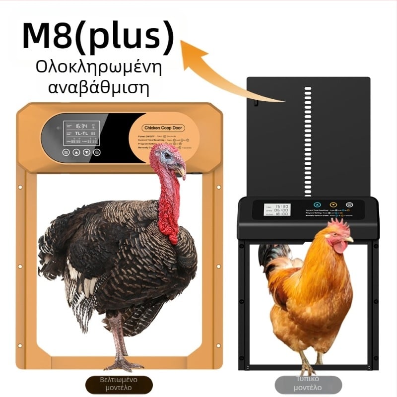 Μεγάλη διασυνοριακή πόρτα κοτέτσιου, πλήρως αυτόματη ηλιακή πόρτα κοτέτσιου, έξυπνη πόρτα κατοικίδιων που δεν τσιμπάει, χρονισμός ευαισθησίας φωτός