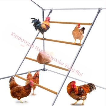 Αποκλειστική διασυνοριακή σκάλα αναρρίχησης για κοτόπουλα, σχάρα αναρρίχησης για κοτόπουλα, τρίποδο κοτόπουλου, κοτέτσι, ξύλινη σχάρα για κοτέτσι, παιχνίδι για κοτέτσι, προμήθειες κοτέτσιου