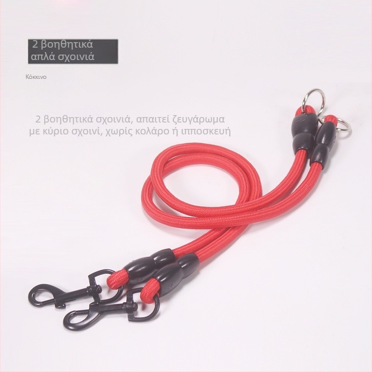 Αποσπώμενα δύο σκυλιά με ένα σύρσιμο, δύο λουριά με διπλό κεφάλι, λουρί βόλτας για σκύλους, αλυσίδα για σκύλους, αρκουδάκι, Golden Retriever, μικρά και μεγάλα είδη για σκύλους