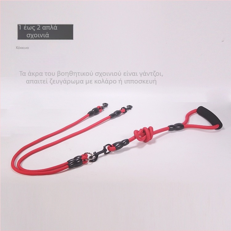 Αποσπώμενα δύο σκυλιά με ένα σύρσιμο, δύο λουριά με διπλό κεφάλι, λουρί βόλτας για σκύλους, αλυσίδα για σκύλους, αρκουδάκι, Golden Retriever, μικρά και μεγάλα είδη για σκύλους