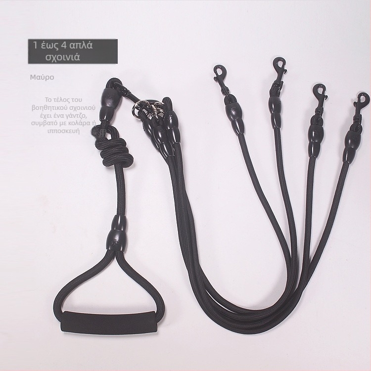 Αποσπώμενα δύο σκυλιά με ένα σύρσιμο, δύο λουριά με διπλό κεφάλι, λουρί βόλτας για σκύλους, αλυσίδα για σκύλους, αρκουδάκι, Golden Retriever, μικρά και μεγάλα είδη για σκύλους