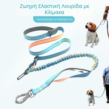 Έτοιμο από τον κατασκευαστή ελαστικό τηλεσκοπικό σχοινί έλξης με διαβάθμιση χρώματος, ανθεκτικό στην έκρηξη, λουρί μέσης χωρίς χέρια, λουρί σκύλου για τρέξιμο σε όλο το σώμα