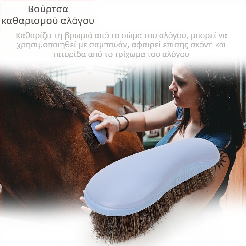 Βούρτσα αλόγου Βούρτσα αλόγου Βούρτσα αλόγου Βούρτσα αλόγου Βούρτσα καθαρισμού Ma Yong Εργαλεία καθαρισμού αλόγων