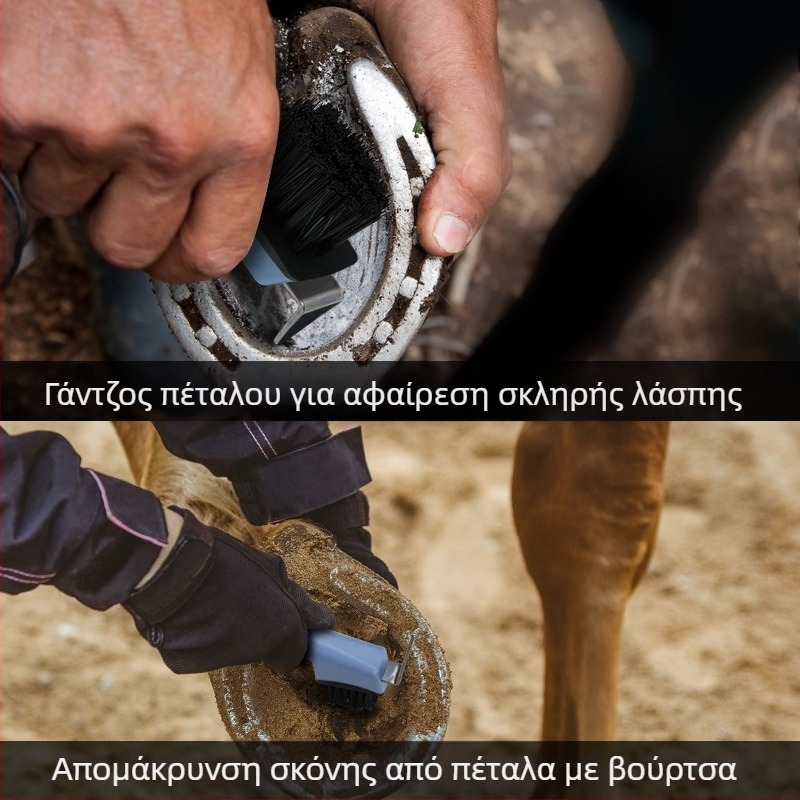 Προμήθειες για Άλογα, Πολυλειτουργική Βούρτσα Καθαρισμού για Πέταλα, Βούρτσα για Πέταλα, Βούρτσα Καθαρισμού Αλόγων, Γάντζος για Πέταλα