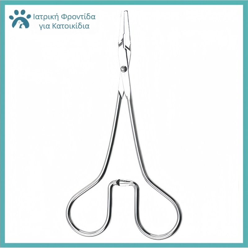 Αναρρόφηση αμνιακού υγρού Γάτα Κατοικίδιο Γάτα Ρινική αναρρόφηση Κουτάβι Πνιγμός Διάσωση με νερό Άντληση Παραγωγή αμνιακού υγρού Χαντάκια