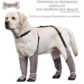 Παπούτσια για κατοικίδια σκύλους, αντι-λερωμένα, αντι-πτώσεις, ιμάντες, ζεστά παπούτσια για σκύλους Golden Retriever, είδη κατοικίδιων ζώων, αντι-λερωμένα αντικείμενα κατά την έξοδο