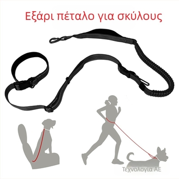 Προτεινόμενα είδη για κατοικίδια, Λουρί αυτοκινήτου για τρέξιμο, Λουρί σκύλου έξι σε ένα, Ζώνη ασφαλείας σκύλου από νάιλον που δεν σπάει
