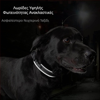 Ανακλαστικό νάιλον κολάρο κατοικίδιων ζώων για σκύλους, ιμάντας σχοινιού Feida Amazon, δημοφιλές κολάρο σκύλου χονδρικής