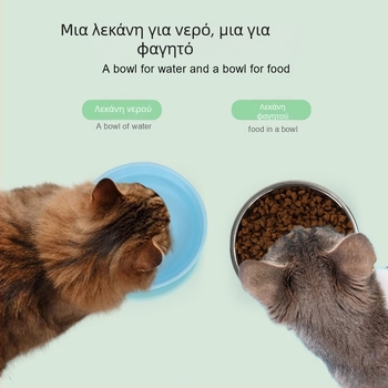 Χονδρική πώληση ειδών κατοικίδιων ζώων Αντιολισθητικό μπολ Μπολ τροφής για σκύλους και γάτες Μπολ ρυζιού για σκύλους Μπολ νερού Μπολ τροφής διπλής χρήσης για κατοικίδια