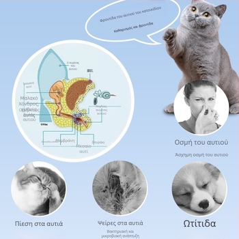 Open Yan Καθαριστικό Αυτιών για Κατοικίδια, Βαμβακερό Στικ Καθαρισμού Ακάρεων Αυτιών, Βαμβακερό Στικ για Κατοικίδια για Γάτες και Σκύλους