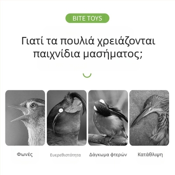 Παιχνίδι για παπαγάλους, δέρμα τίγρης, παιώνια, Xuanfeng, κλουβί πουλιών για μάσημα και αναρρίχηση, σκάλα, πλατφόρμα, σκάλα, κούνια, είδη κατοικίδιων ζώων