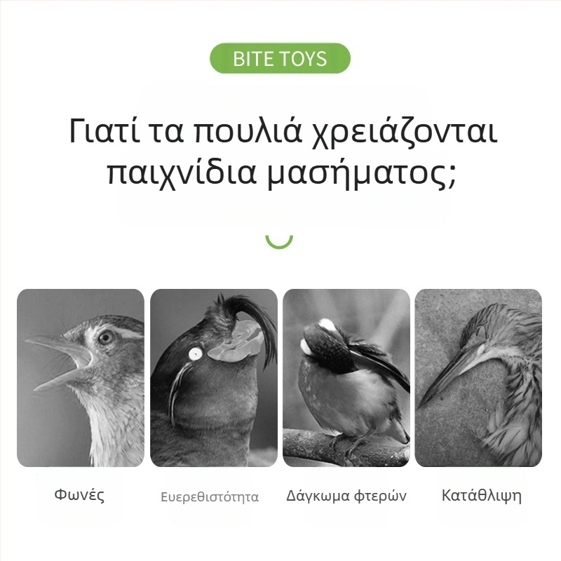 Παιχνίδι για παπαγάλους, δέρμα τίγρης, παιώνια, Xuanfeng, κλουβί πουλιών για μάσημα και αναρρίχηση, σκάλα, πλατφόρμα, σκάλα, κούνια, είδη κατοικίδιων ζώων