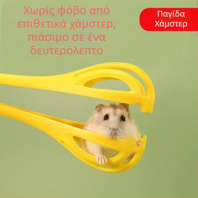 Κλιπ για χάμστερ Κλιπ για ποντίκι Κλιπ για χάμστερ Χάμστερ Golden Bear Life Διαδραστικά είδη παιχνιδιών Διαμόρφωση τοπίου Ποντικοπαγίδα