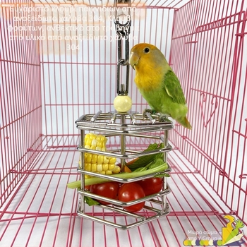 304 Ανοξείδωτο ατσάλι 304 Παιχνίδι κλουβιού για αναζήτηση τροφής με δάγκωμα παπαγάλου, κρεμαστό καλάθι με φρούτα για παπαγάλους, κλουβί, παιχνίδι γομφίων