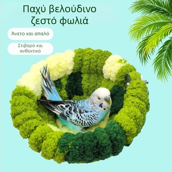 παπαγάλος χειμερινή φωλιά πουλιών χειμερινή φωλιά βελούδινη φωλιά ύπνου φωλιά βαμβακιού φωλιά πουλιών χειμωνιάτικη πυκνωμένη ζεστή φωλιά
