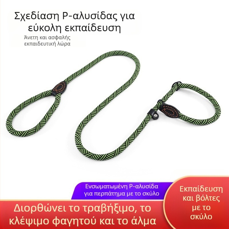 Εργοστάσιο χονδρικής εκπαίδευσης σκύλων σχοινί P με επιμήκυνση αλυσίδας P πάχους 2,5 m, ενσωματωμένο σχοινί έλξης κατοικίδιων με εύκολο τράβηγμα