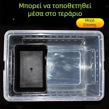 Niuniu Μικρό ερπετό που σέρνεται, αποφεύγει το παλάτι, ρολόι, παιχνίδι, φίδι, βάτραχος, μάτι, σαύρα, σπήλαιο, αράχνη, σκορπιός, σαρανταποδαρούσα, ειδικό σπήλαιο