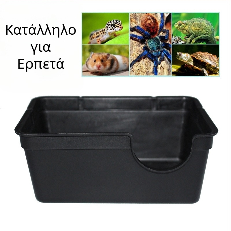 Niuniu Μικρό ερπετό που σέρνεται, αποφεύγει το παλάτι, ρολόι, παιχνίδι, φίδι, βάτραχος, μάτι, σαύρα, σπήλαιο, αράχνη, σκορπιός, σαρανταποδαρούσα, ειδικό σπήλαιο