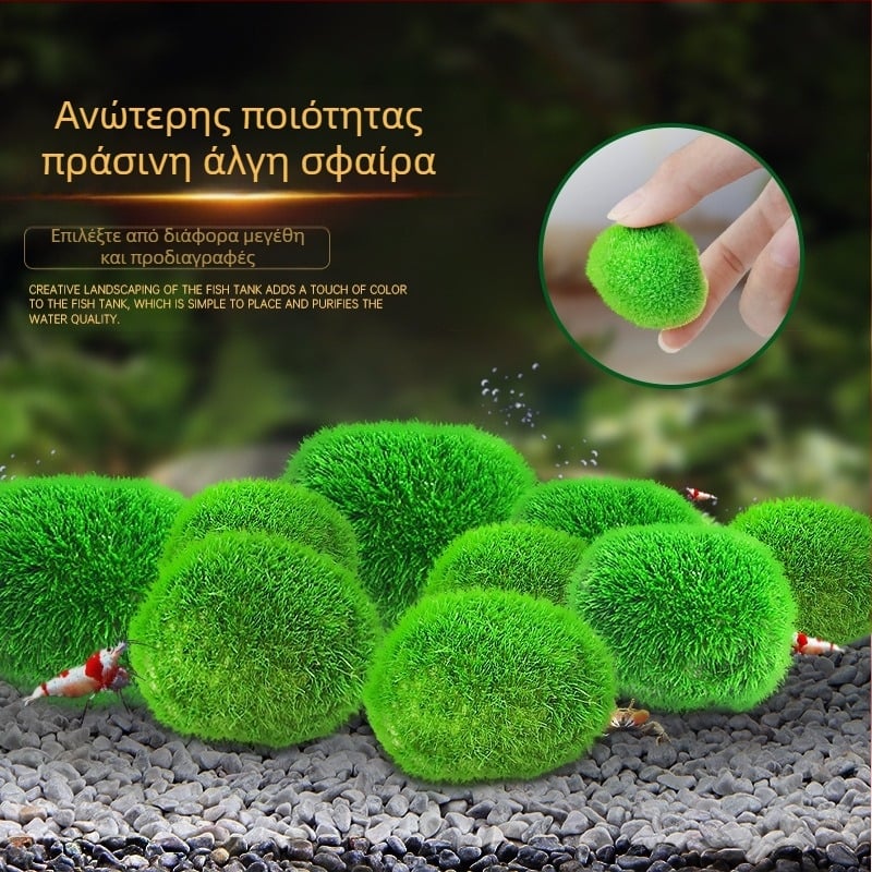 τεχνητή δεξαμενή ψαριών μπάλα φυκιών υδρόβια φυτά μικρο οικολογικό μπουκάλι πράσινη φύκια μπάλα δεξαμενή ψαριών τοπίο εσωτερική διακόσμηση επιφάνειας εργασίας στολίδια