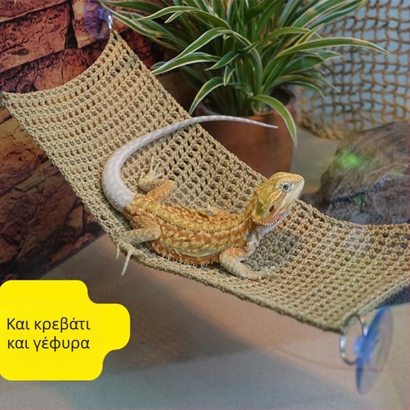 Πλεκτή αιώρα με βεντούζα, παιχνίδι χάμστερ, χαίτη λιονταριού, σαύρας, κατοικίδιο, ύπνος, αναρρίχηση, τάισμα κατοικίδιων, θερμοστάτης, κούνια, πλέγμα αναρρίχησης