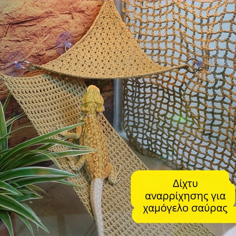 Πλεκτή αιώρα με βεντούζα, παιχνίδι χάμστερ, χαίτη λιονταριού, σαύρας, κατοικίδιο, ύπνος, αναρρίχηση, τάισμα κατοικίδιων, θερμοστάτης, κούνια, πλέγμα αναρρίχησης