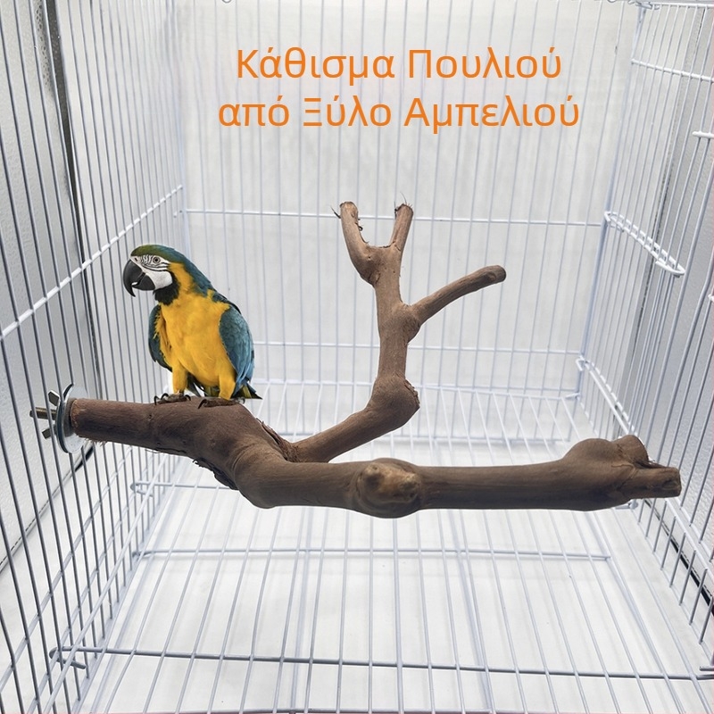 Φυσικό ξύλινο σταφύλι με διπλό κλαδί, ξύλινο σταφύλι, παπαγάλος, πέρκα πουλιών, δάχτυλο λείανσης, σταφύλι, ξύλινο σταφύλι, παιχνίδι με ραβδί