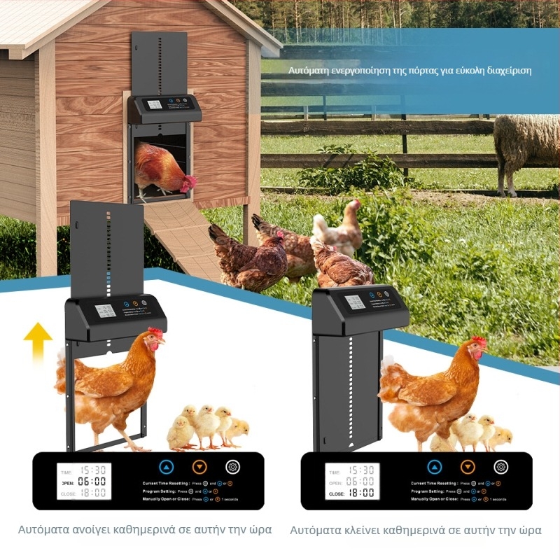 Διασυνοριακή ηλεκτρική πόρτα κοτόπουλου με καυτή πώληση, πόρτα κοτόπουλου από κράμα αλουμινίου, ευφυής αυτόματη πόρτα κοτόπουλου ανύψωσης χρονισμού
