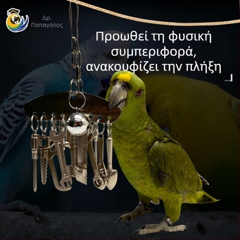 Μεσαίο και μεγάλο μεταλλικό παιχνίδι μάσημα παπαγάλου King Kong γκρι παπαγάλος Amazon εκπαιδευτικό κρεμαστό πλαίσιο κλουβιού πουλιών για την ανακούφιση από το άγχος και την ανακούφιση από την πλήξη