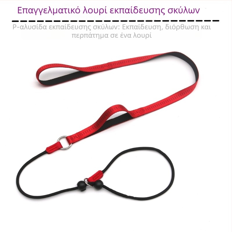 Επαγγελματικό σχοινί εκπαίδευσης σκύλων, σχοινί εκπαίδευσης σκύλων με αλυσίδα P, σχοινί βόλτας σκύλων, μεγάλο και μεσαίου μεγέθους, μικρόσωμο, ανθεκτικό σε εκρήξεις, προμήθειες κατοικίδιων ζώων χονδρικής, σχοινί P
