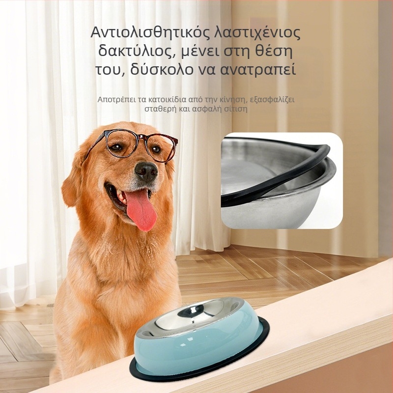 Νέο μπολ για γάτες από ανοξείδωτο ατσάλι, ανθεκτικό στις πτώσεις, μπολ για σκύλους που δεν πέφτει εύκολα, προμήθειες για κατοικίδια