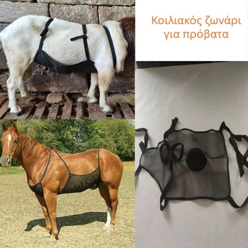 Νέο προϊόν με ζώνη κοιλιάς προβάτου κατά του ζευγαρώματος, τυλιγμένο με αναπνεύσιμο κριάρι, αντι-αναρριχητικό, ζώνη κοιλιάς προβάτου, πρόβατο, άλογο, αγελάδα