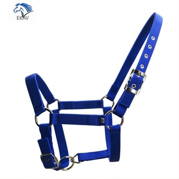 Ιμάντας Pp 25 χιλιοστών πλάτους με παχύρρευστο ιμάντα αλόγου, ασημένια αγκράφα ζώνης, μεταλλική αγκράφα με μάτι Lt2001