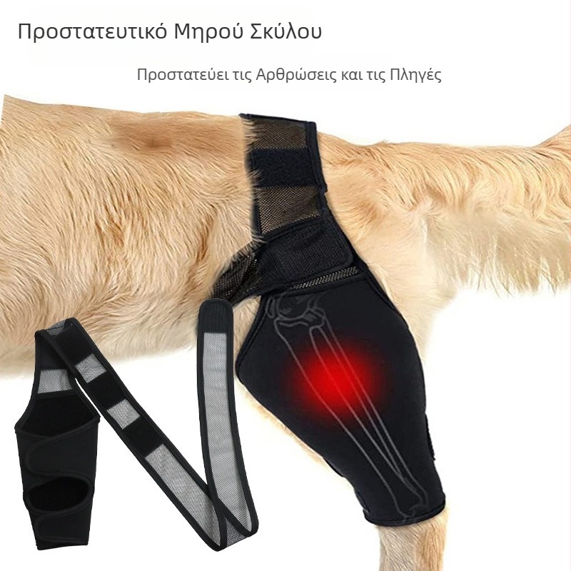 Νέα διασυνοριακή προστατευτική κάλυψη μηρών σκύλου, προστατευτική κάλυψη αρθρώσεων για χειρουργική επέμβαση, προστατευτική κάλυψη αρθρώσεων, κολάν, προστατευτική κάλυψη ποδιών σκύλου και κατοικίδιων
