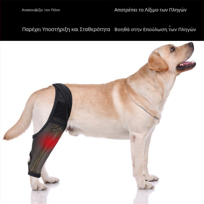 Νέα διασυνοριακή προστατευτική κάλυψη μηρών σκύλου, προστατευτική κάλυψη αρθρώσεων για χειρουργική επέμβαση, προστατευτική κάλυψη αρθρώσεων, κολάν, προστατευτική κάλυψη ποδιών σκύλου και κατοικίδιων