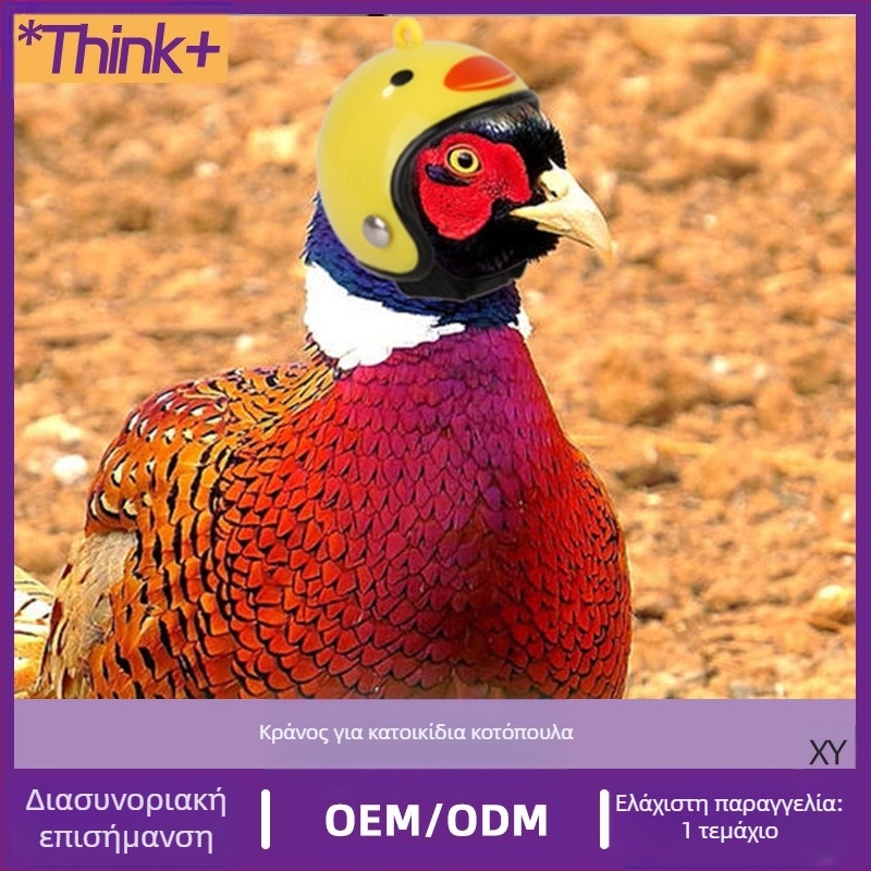 Κράνος κατοικίδιου κοτόπουλου, περιστέρι-παπαγάλος, αστεία προστατευτική κουκούλα, κράνος ασφαλείας πουλιών