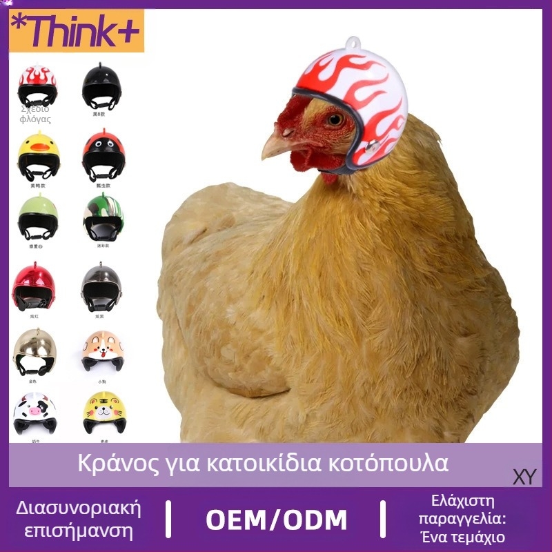 Κράνος κατοικίδιου κοτόπουλου, περιστέρι-παπαγάλος, αστεία προστατευτική κουκούλα, κράνος ασφαλείας πουλιών