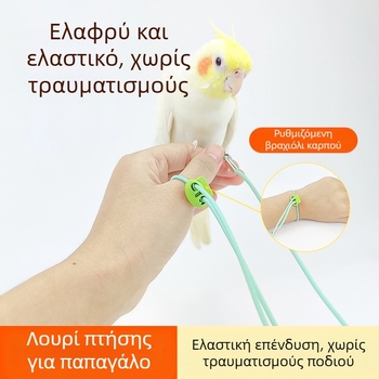 Ελαστικό σχοινί για παπαγάλους, εξαιρετικά ελαφρύ, χωρίς πόδια, για εκπαίδευση, δακτύλιος ποδιών Xuanfeng με δέρμα τίγρης και παιωνία, αλυσίδα ποδιών, σχοινί για περπάτημα πουλιών