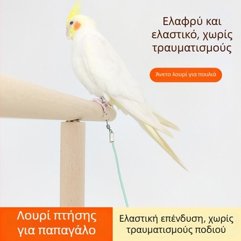 Ελαστικό σχοινί για παπαγάλους, εξαιρετικά ελαφρύ, χωρίς πόδια, για εκπαίδευση, δακτύλιος ποδιών Xuanfeng με δέρμα τίγρης και παιωνία, αλυσίδα ποδιών, σχοινί για περπάτημα πουλιών