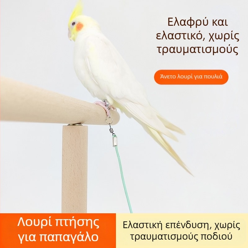 Ελαστικό σχοινί για παπαγάλους, εξαιρετικά ελαφρύ, χωρίς πόδια, για εκπαίδευση, δακτύλιος ποδιών Xuanfeng με δέρμα τίγρης και παιωνία, αλυσίδα ποδιών, σχοινί για περπάτημα πουλιών