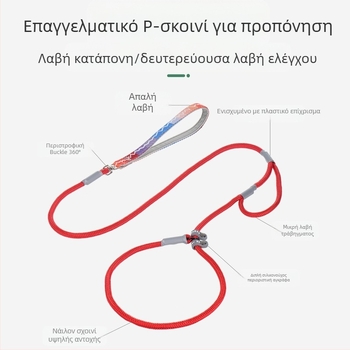 Άμεσες πωλήσεις εργοστασίων για λουρί σκύλου γενικής χρήσης P-Chain, αντιεκρηκτικό, αντιθραυστικό, εργαλείο βόλτας σκύλου, χονδρική πώληση ειδών κατοικίδιων ζώων, φορητό
