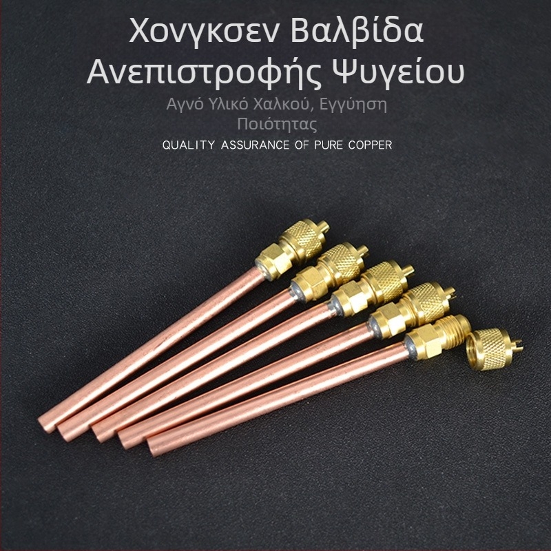 Βαλβίδα αντεπιστροφής Hongsen HS-110 βελονοβαλβίδων ψυγείου φθορίου ακροφυσίου υγρού ακροφυσίου ψυγείου γρήγορου συνδετήρα φθορίου γρήγορου συνδετήρα
