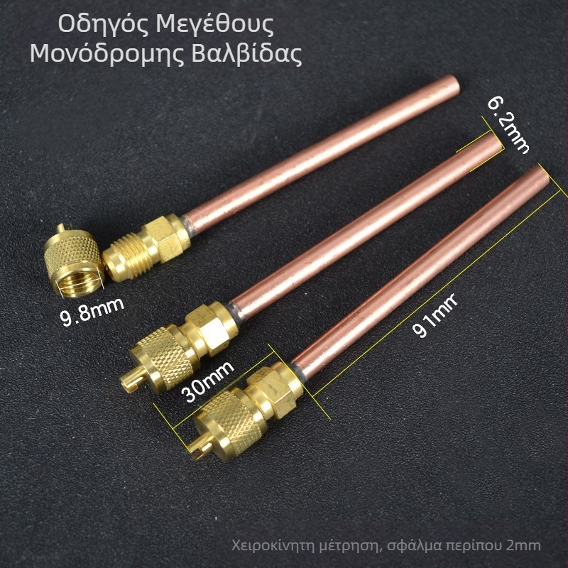 Βαλβίδα αντεπιστροφής Hongsen HS-110 βελονοβαλβίδων ψυγείου φθορίου ακροφυσίου υγρού ακροφυσίου ψυγείου γρήγορου συνδετήρα φθορίου γρήγορου συνδετήρα