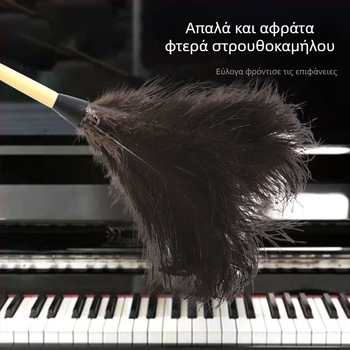 Ξεσκονόπανο από φτερό στρουθοκαμήλου, ξεσκονόπανο από φτερό, λαβή από μασίφ ξύλο, στηρίγματα καθαρισμού με φτερά