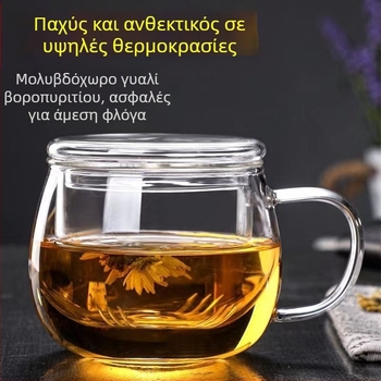 Γυάλινο φλιτζάνι τσαγιού με καπάκι Ανθεκτικό στη θερμότητα τσάι Διαχωρισμός νερού Οικιακό γραφείο Ανδρικό και γυναικείο διαφανές φλιτζάνι τσαγιού φίλτρου