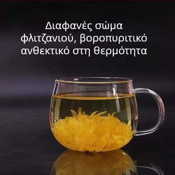 Γυάλινο φλιτζάνι τσαγιού με καπάκι Ανθεκτικό στη θερμότητα τσάι Διαχωρισμός νερού Οικιακό γραφείο Ανδρικό και γυναικείο διαφανές φλιτζάνι τσαγιού φίλτρου