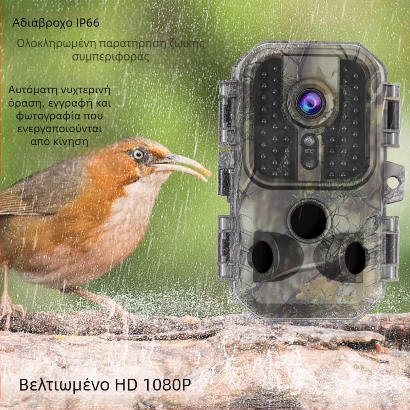 διασυνοριακή υπέρυθρη κάμερα άγριας ζωής εξωτερική κάμερα κυνηγιού hd νυχτερινή όραση παρακολούθησης επαγωγική κάμερα κυνηγιού οπωρώνας