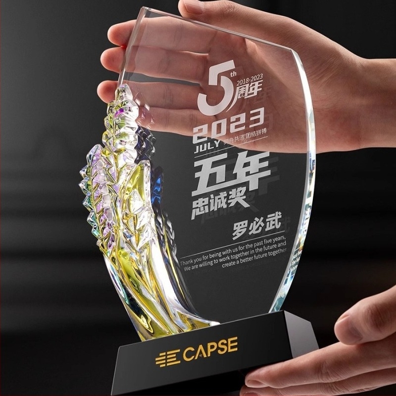 2024 Κρυστάλλινο Τρόπαιο Δημιουργικό Τρόπαιο Εξαιρετική Τιμή Υπαλλήλου Αναμνηστικά Βραβεία Ομάδας Ετήσια Συνάντηση Μετάλλιο Χάραξη